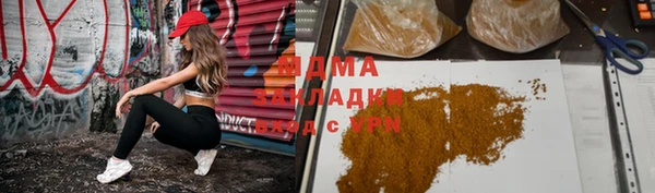 молекула духа Богданович