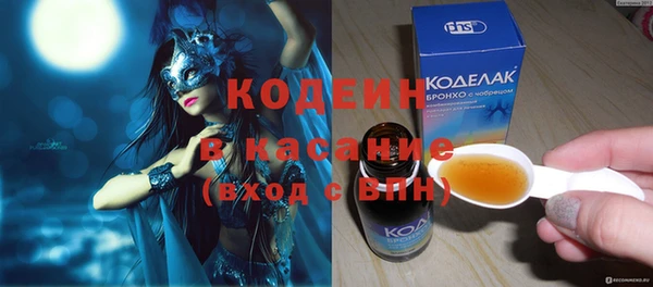 молекула духа Богданович