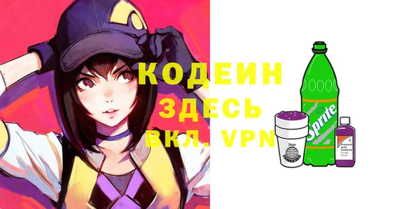 молекула духа Богданович
