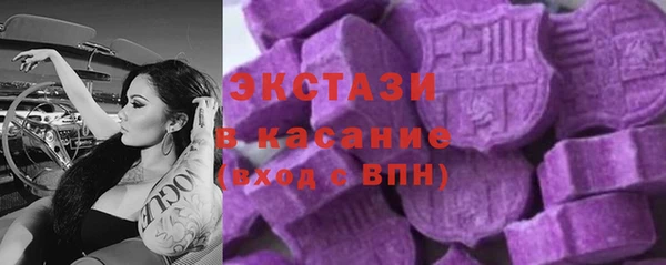 молекула духа Богданович