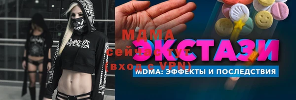 молекула духа Богданович