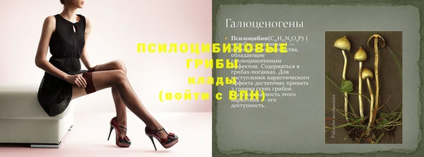 молекула духа Богданович