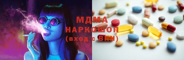 молекула духа Богданович