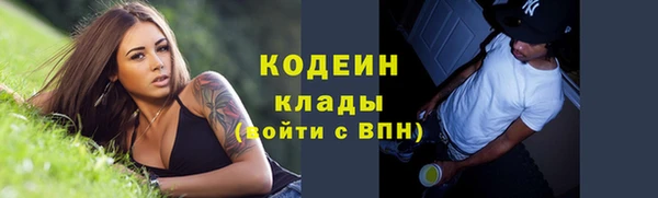 молекула духа Богданович
