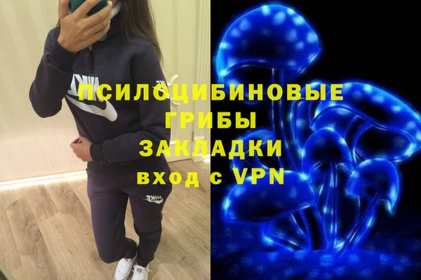 молекула духа Богданович