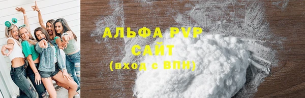молекула духа Богданович