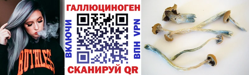 Купить закладки  Пучеж  Псилоцибиновые грибы Cubensis 